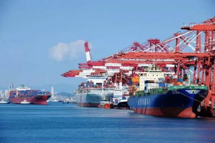 報(bào)關(guān)企業(yè) vs. 進(jìn)出口貨物收發(fā)貨人 理清角色，保障貨物高效通關(guān)