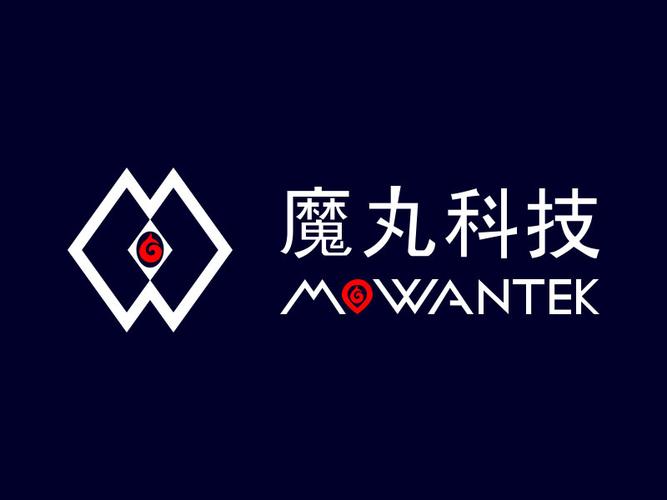 合肥魔丸科技 以技術服務為翼，驅動數字化未來